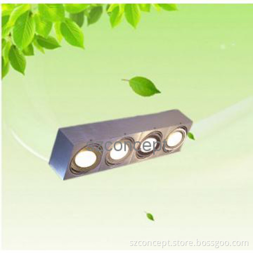 Classic Style-40W LED Ceiling light ,patented products